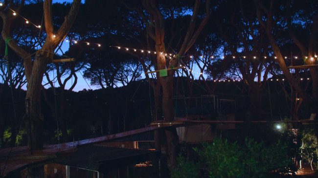 Percorso tra gli alberi illuminato da luci appese, al crepuscolo, in una foresta.