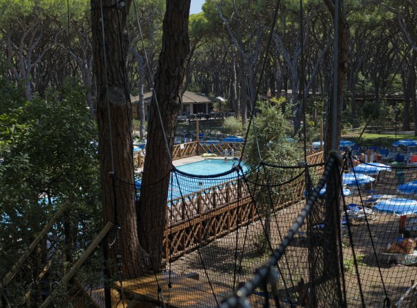 Piscina in un bosco con percorsi sospesi.