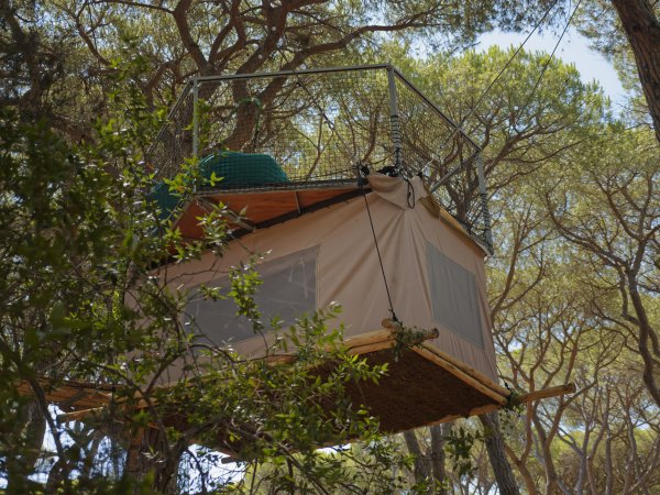 Tenda sugli alberi con reti di sicurezza.