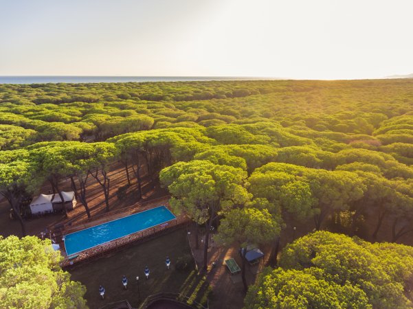 Piscina immersa in una pineta, con vista al tramonto.