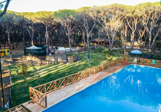 Una piscina vista dall'alto vicino a una zona erbosa e ombreggiata da alberi.