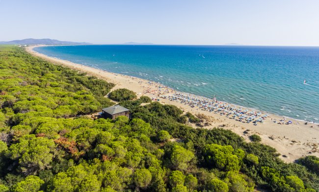 Una lunga spiaggia sabbiosa con ombrelloni, circondata da una densa pineta e un mare blu.