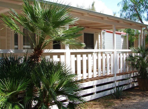Veranda di legno bianca circondata da palme.