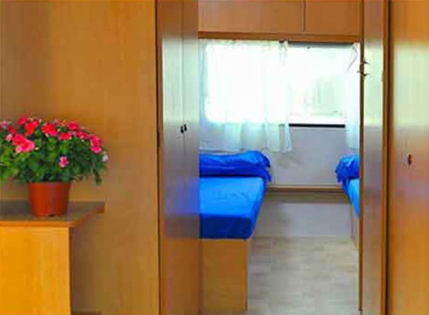Due letti con coperte blu e pianta con fiori rosa.