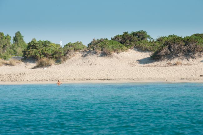 Una spiaggia sabbiosa con vegetazione, vista dal mare calmo e blu.