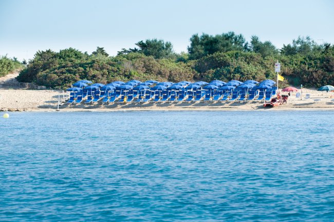 Una spiaggia con ombrelloni blu allineati vicino alla vegetazione.