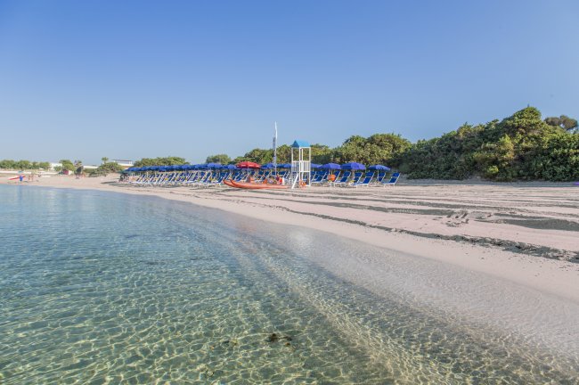 Spiaggia con ombrelloni blu e sdraio allineati sulla sabbia.