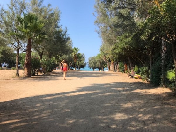 Viale alberato che conduce a una spiaggia, con una persona che cammina verso il mare in lontananza.
