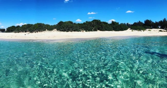 Acqua cristallina con una spiaggia di sabbia bianca e arbusti in lontananza.