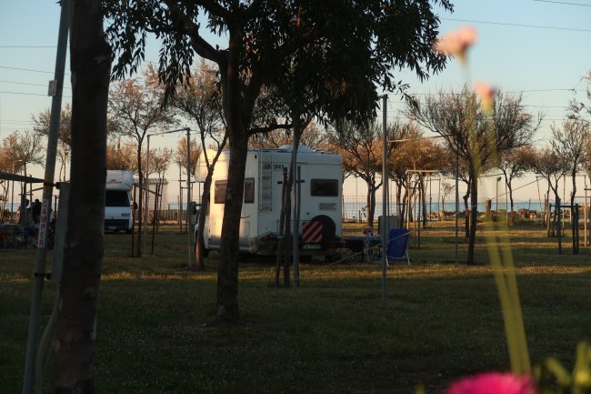 Camper parcheggiati in un'area verde.