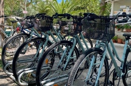 Biciclette con cestini parcheggiate in fila.