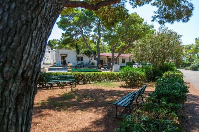 Giardino ombreggiato con panchine e alberi, edifici bianchi sullo sfondo.