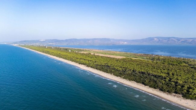 Lunga spiaggia sabbiosa con mare azzurro e vegetazione verde, monti in lontananza.