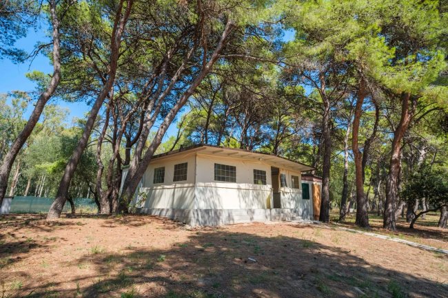 Una piccola casa tra gli alberi con tetto a spiovente e finestre con inferriate.