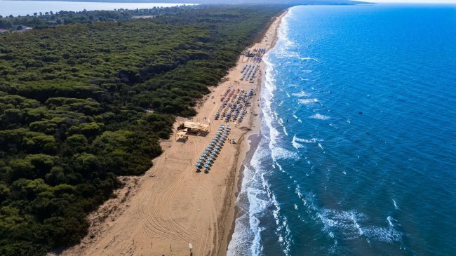 Spiaggia sabbiosa con ombrelloni, mare e vegetazione verde.