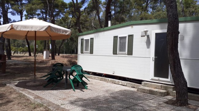 Roulotte bianca con ombrellone beige e sedie verdi su un piazzale in mezzo agli alberi.