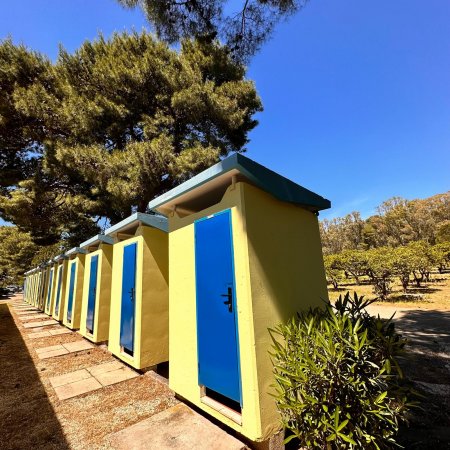 File di cabine gialle con porte blu, alberi sullo sfondo.
