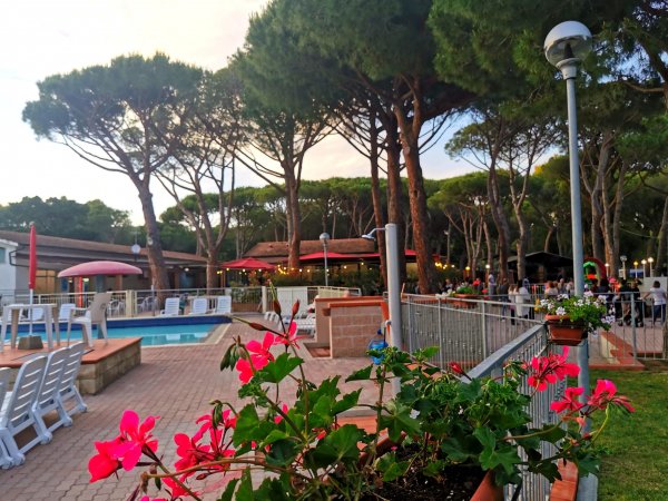 Piscina all'aperto circondata da sedie e tavoli, fiori rossi in primo piano e pineta sullo sfondo.