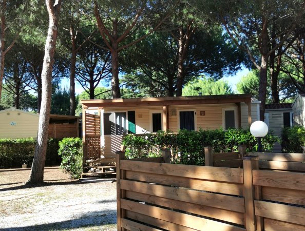 Bungalow di legno immerso in una pineta, circondato da una staccionata e arbusti verdi.