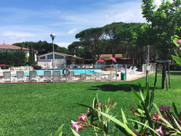 Piscina all'aperto con lettini bianchi, prato verde in primo piano e alti alberi sullo sfondo.