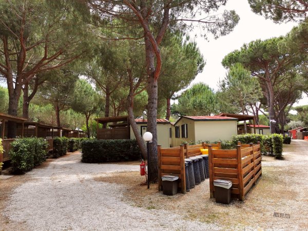 Stradine tra case mobili circondate da alberi.