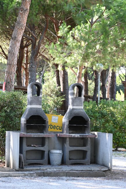 Due barbecue in muratura con alberi sullo sfondo.