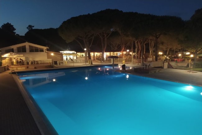 Piscina illuminata di notte, con pini e edifici illuminati sullo sfondo.