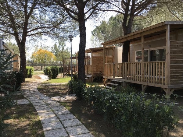 Casette in legno immerse tra gli alberi con sentiero pavimentato.
