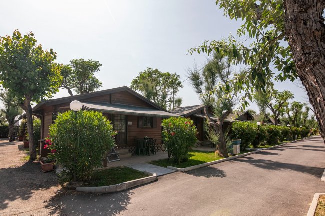 Case di legno con giardino e vialetto alberato.