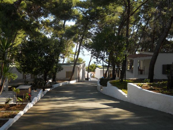 Un viale alberato conduce tra edifici bianchi.