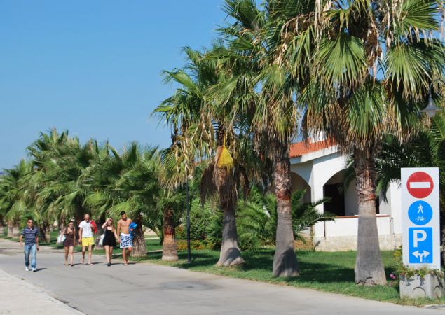 Persone camminano lungo un viale costeggiato da palme e segnali stradali.