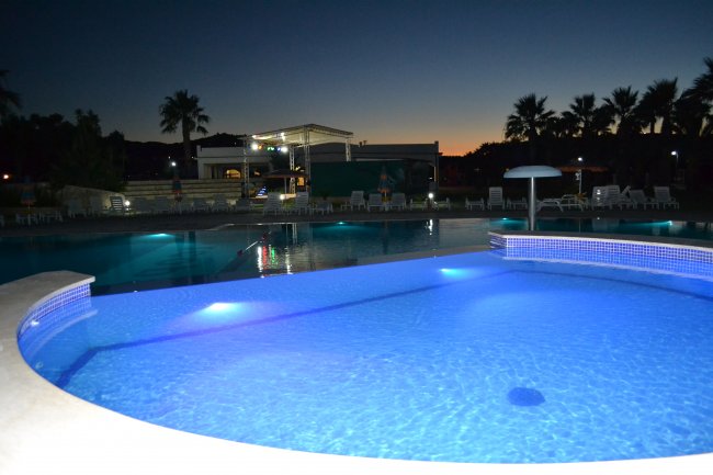 Piscina con luci blu di sera, circondata da palme e sedie a sdraio.