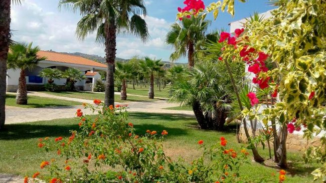 Un giardino fiorito con palme e arbusti vicino a edifici bianchi.