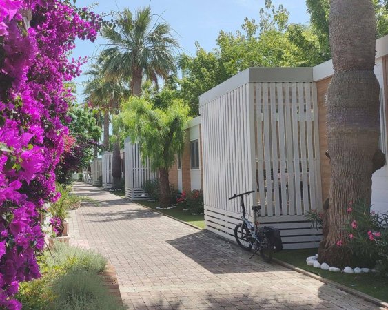 Un sentiero tra bungalow bianchi e fiori viola, con una bicicletta parcheggiata.