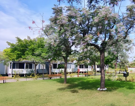 Giardino con alberi fioriti, prato curato e diversi edifici bianchi sullo sfondo.