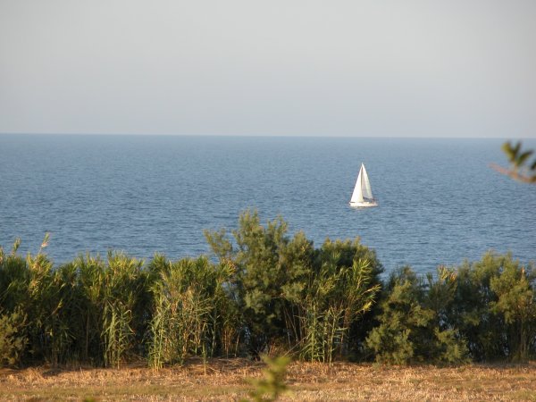 Una barca a vela solitaria naviga sul mare calmo, vista dalla costa.