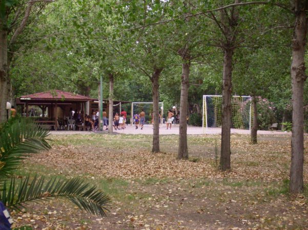 Campo di calcio con persone che giocano, alberi e area picnic.