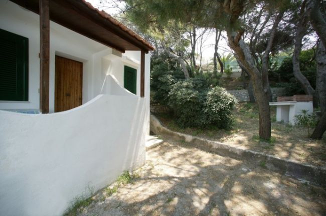 Piccolo bungalow bianco con porta in legno, circondato da alberi e vegetazione.