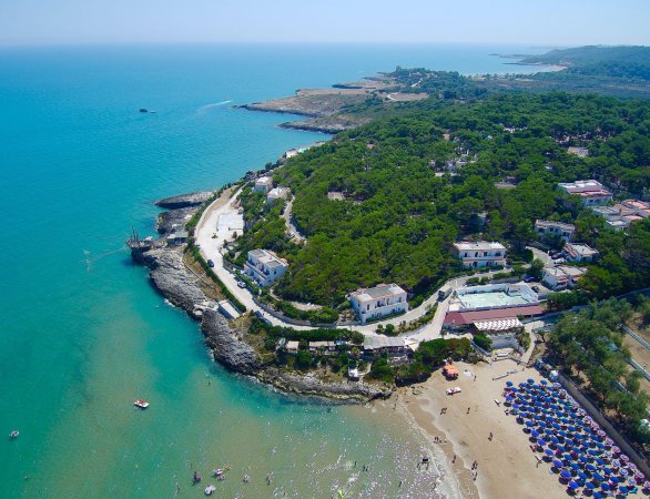 Vista aerea di una costa con spiaggia, ombrelloni colorati e vegetazione rigogliosa.