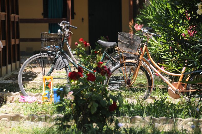 Due biciclette parcheggiate in un giardino con fiori.