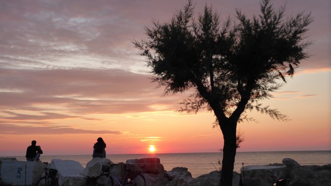 Un tramonto sul mare con una silhouette di un albero e persone sedute sulla spiaggia.