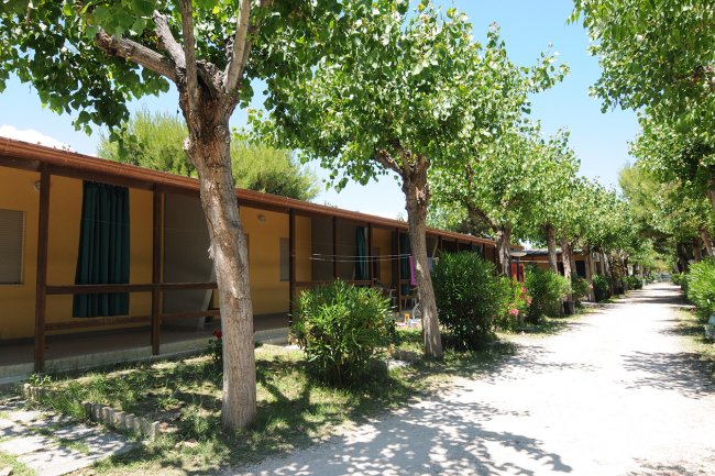 Bungalow con veranda e alberi lussureggianti lungo un sentiero soleggiato.