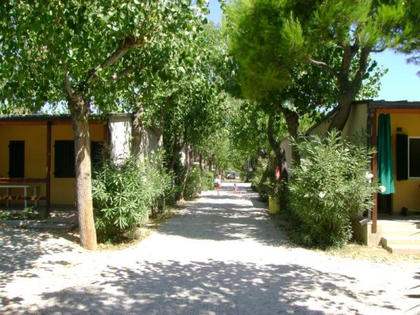 Sentiero tra bungalow gialli con alberi e arbusti lungo i lati.