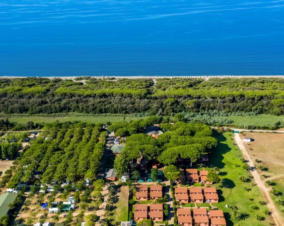 Vista dall'alto di una costa con mare, pineta e case.