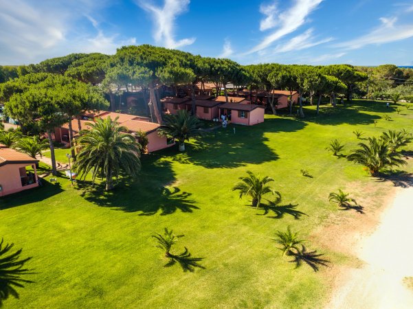 Bungalow immersi in un prato verde con alberi alti e spiaggia sabbiosa vicino.