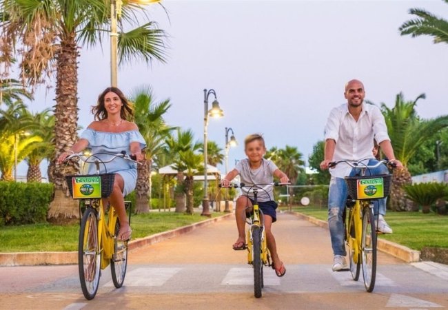Tre persone su biciclette gialle pedalano su un viale alberato.