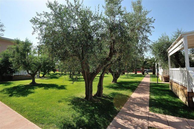 Un giardino con vialetto lastricato e diversi alberi frondosi, illuminato dalla luce del sole.