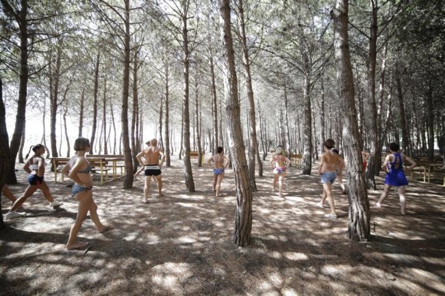 Persone in costume corrono tra alberi in una pineta.