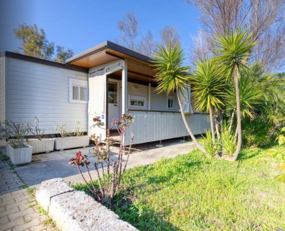 Casa moderna con piante verdi e vialetto in cemento.