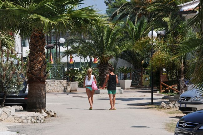 Due persone camminano su un viale alberato da palme.